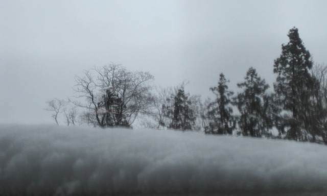 f0236201_96578.jpg