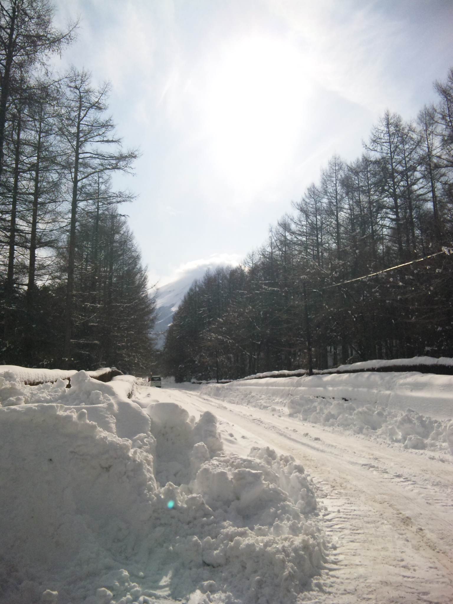 f0034602_2136369.jpg