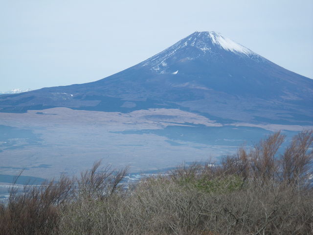 a0116205_14161125.jpg