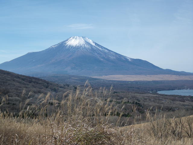 a0116205_14182956.jpg