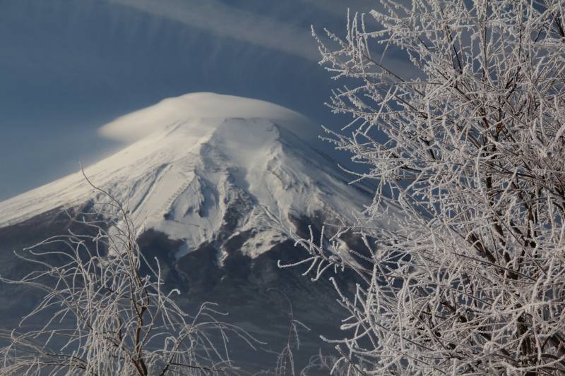 a0188405_0515560.jpg