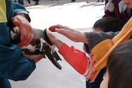 c0152305_492998.jpg
