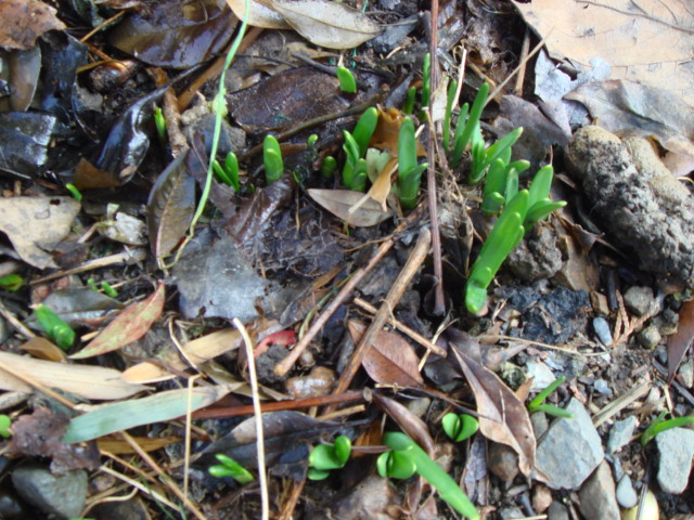 d0237309_22113440.jpg