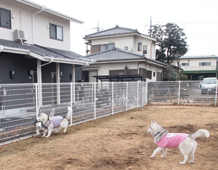 b0207615_22131411.gif