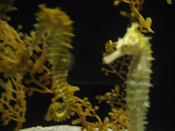 c0054118_17534141.jpg