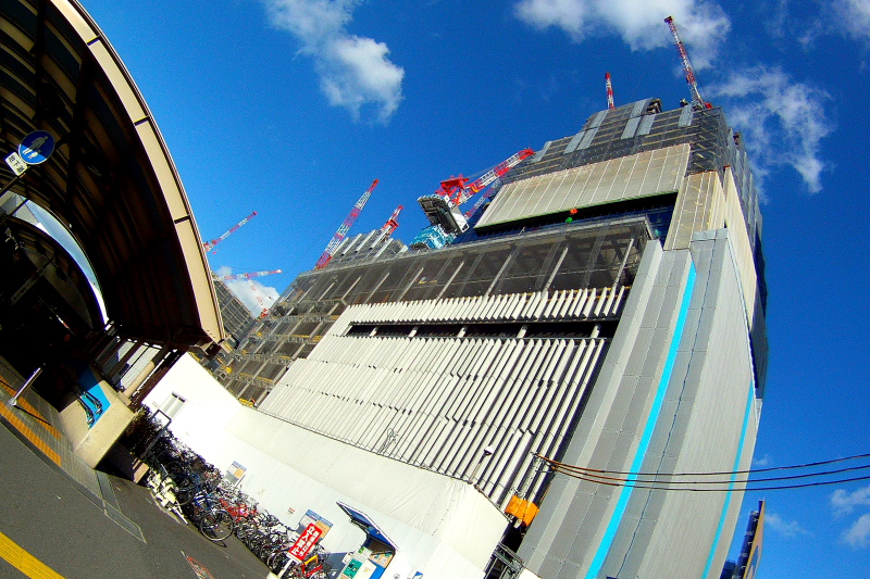 f0031423_8184161.jpg