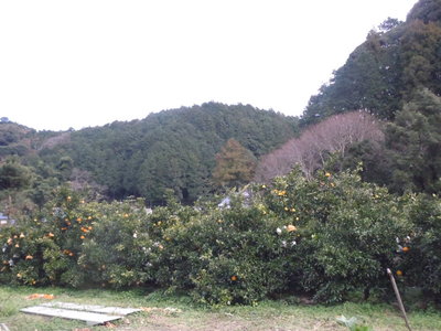 b0157528_23114290.jpg