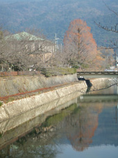 c0188928_2128405.jpg