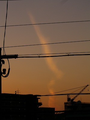 c0072432_1522789.jpg