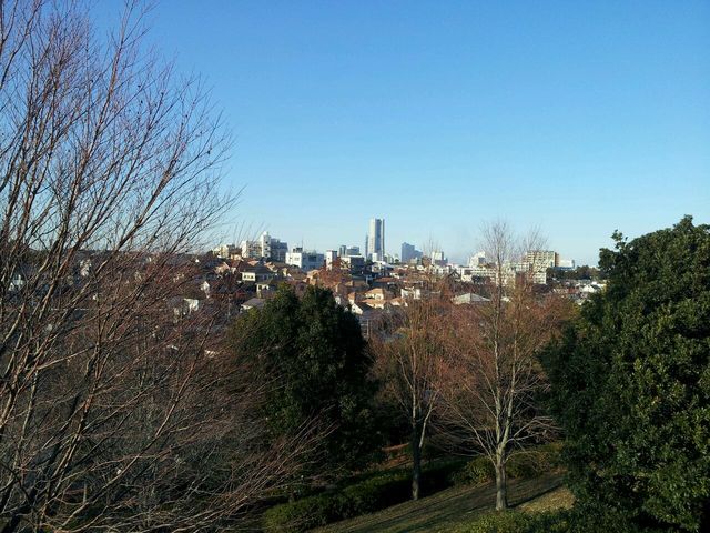 d0075741_23264313.jpg