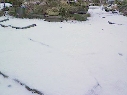 b0220251_19333959.jpg