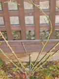b0246758_1727289.jpg