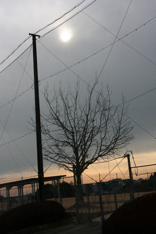d0244960_18115396.jpg