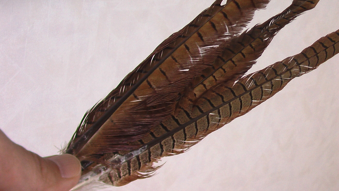 b0208961_17395985.jpg