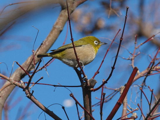 f0208666_15231932.jpg