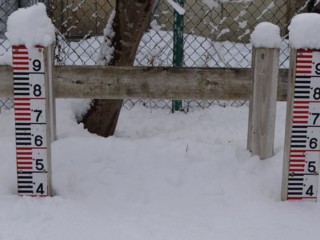 d0134473_15544244.jpg