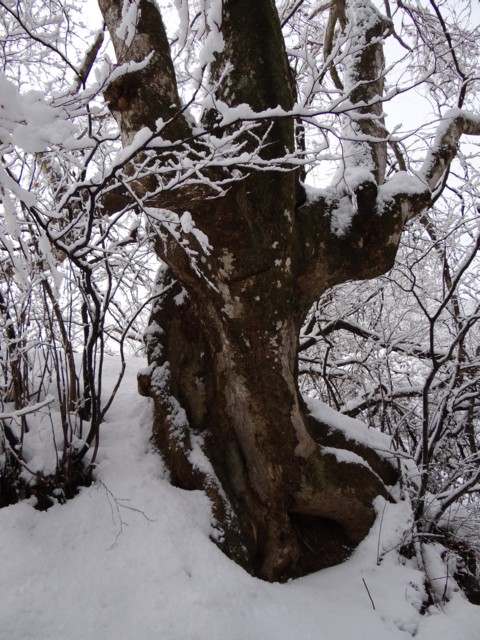 d0134473_15581027.jpg