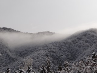 d0134473_16124146.jpg