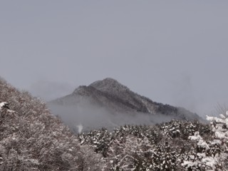 d0134473_1613228.jpg