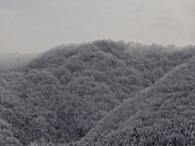 d0134473_16143265.jpg
