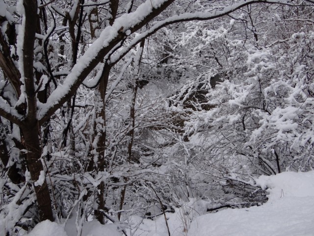 d0134473_1641754.jpg