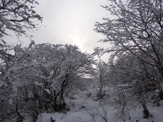 d0134473_1665677.jpg