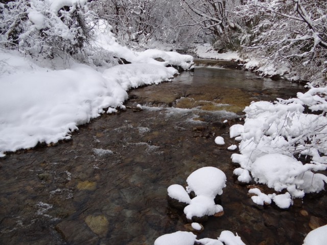 d0134473_169397.jpg