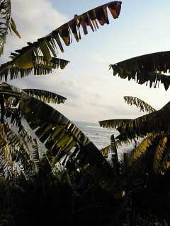 d0161575_1393450.jpg