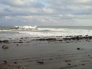 d0161575_1393477.jpg