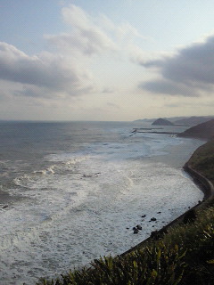 d0161575_1393484.jpg