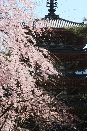 c0196076_124290.jpg