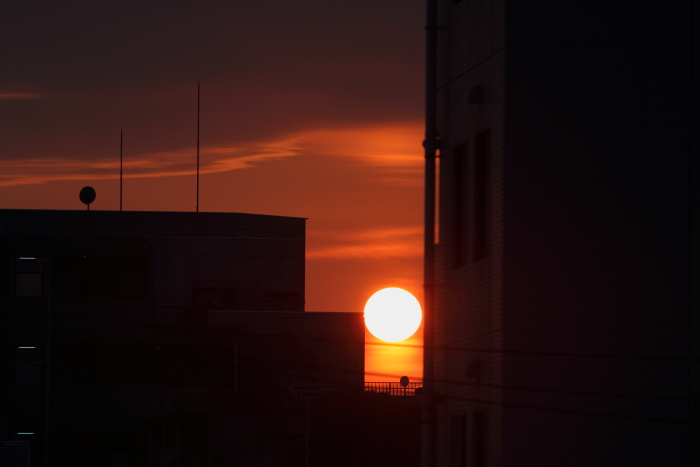 c0008378_17395170.jpg