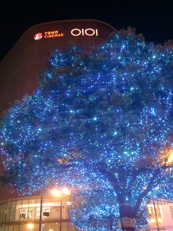 f0238779_9144438.jpg