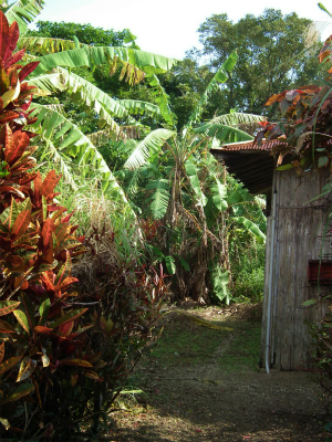 e0028387_2382313.jpg