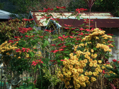 e0028387_2394228.jpg