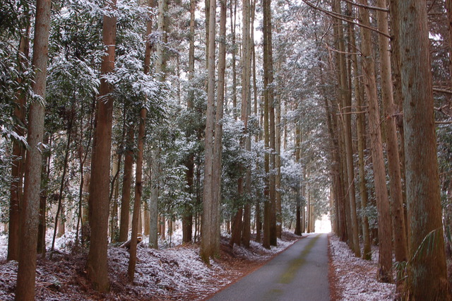 b0203588_7383754.jpg
