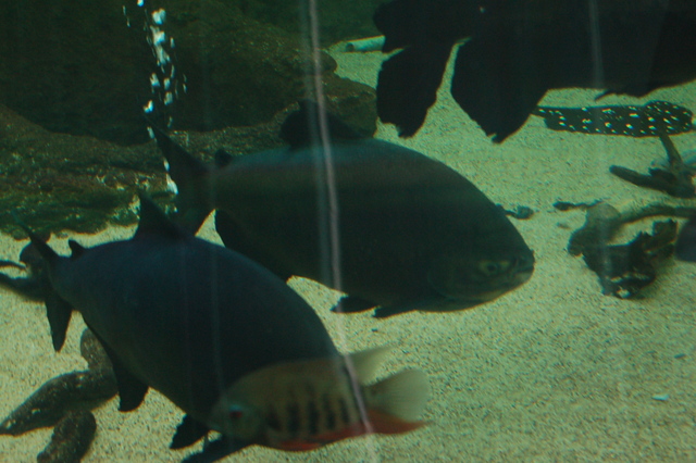 b0203588_742971.jpg