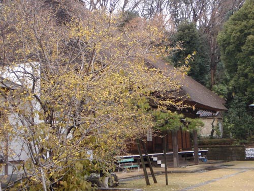 c0146788_183421100.jpg