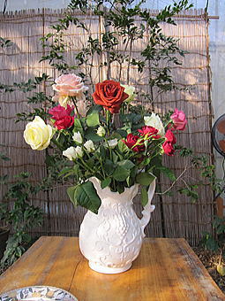 b0028299_201441100.jpg