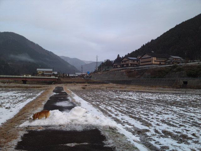 f0135908_1091836.jpg