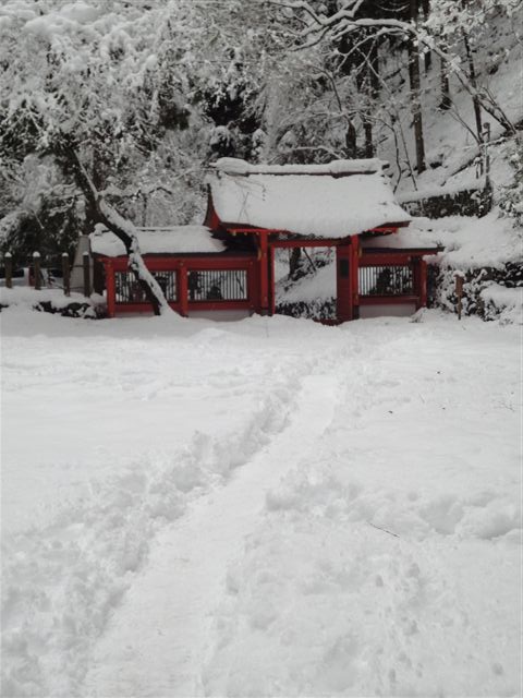 a0118723_22144860.jpg