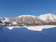 f0022024_2339146.jpg
