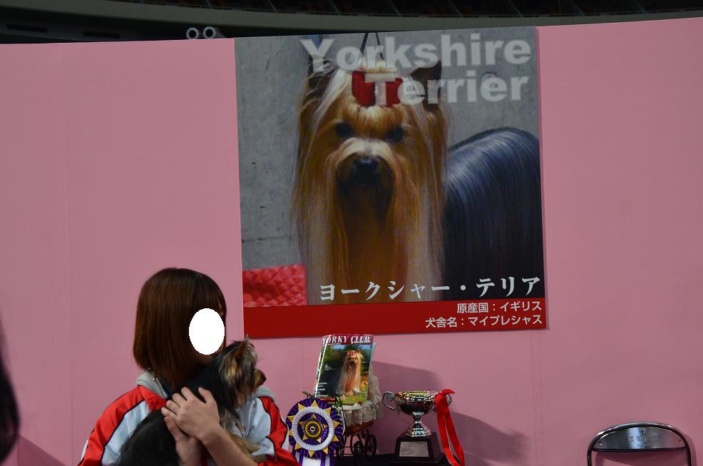 f0124830_1536662.jpg