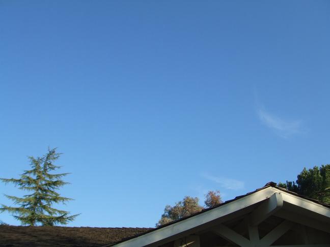 b0198033_152784.jpg