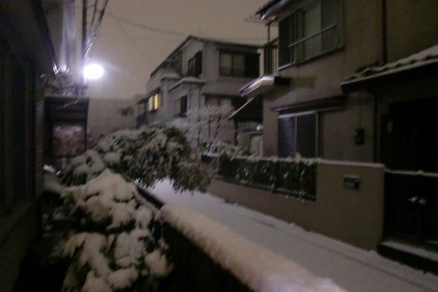 e0196135_22232059.jpg