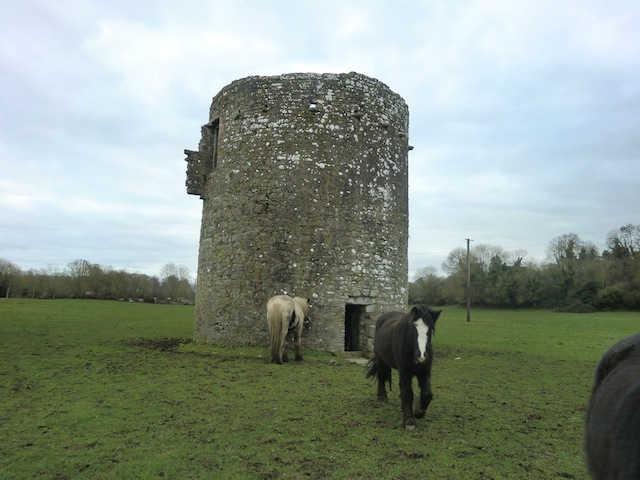 c0170236_2355618.jpg