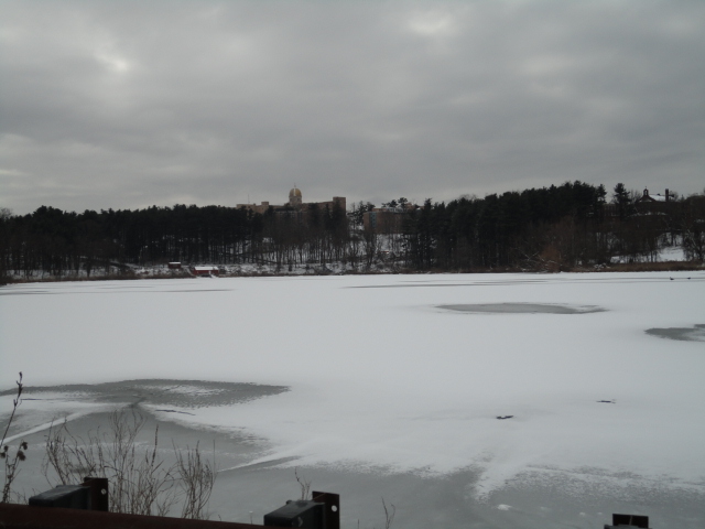 a0224537_5501265.jpg