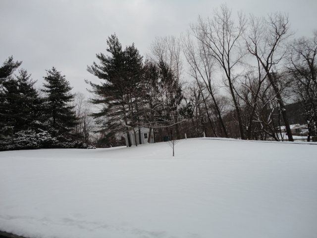 a0224537_5531198.jpg