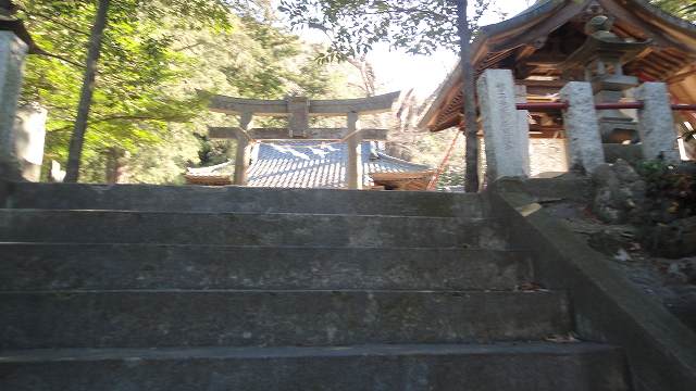 f0208737_8311646.jpg