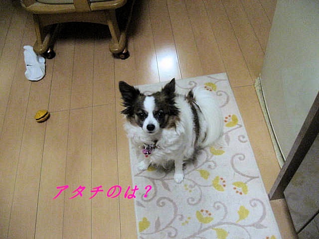 a0149240_1755439.jpg